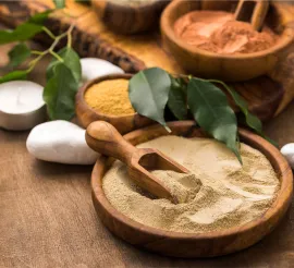 Botanical Extract